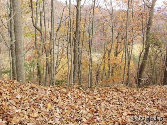 0 Sprinkle Branch Road Marshall, NC 28753 - Photo 11 of 14
