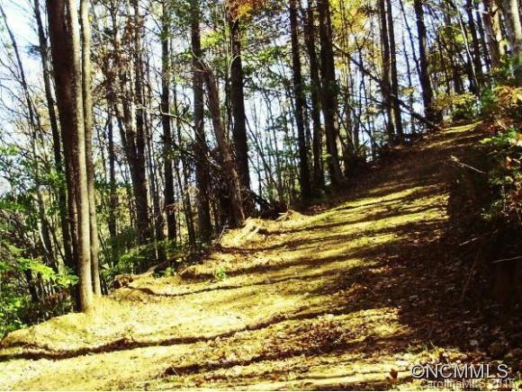 0 Sprinkle Branch Road Marshall, NC 28753 - Photo 3 of 14