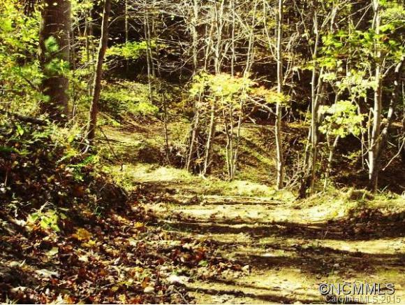 0 Sprinkle Branch Road Marshall, NC 28753 - Photo 4 of 14