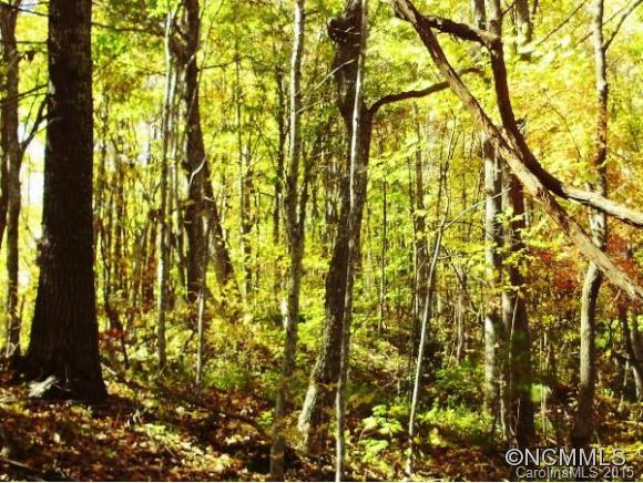 0 Sprinkle Branch Road Marshall, NC 28753 - Photo 5 of 14