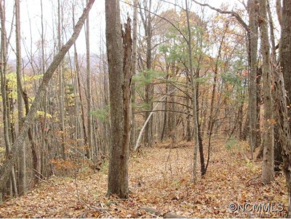0 Sprinkle Branch Road Marshall, NC 28753 - Photo 9 of 14