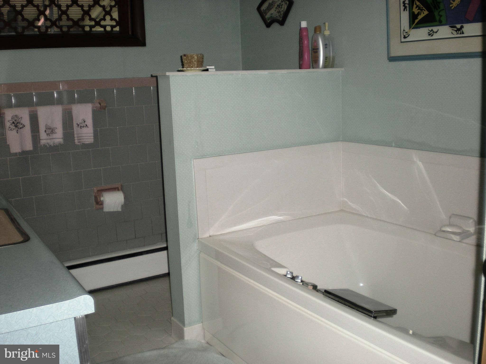 1206 Frederick Road Baltimore, MD 21228 - Photo 15 of 25 Updated jacuzzi tub in hall bath