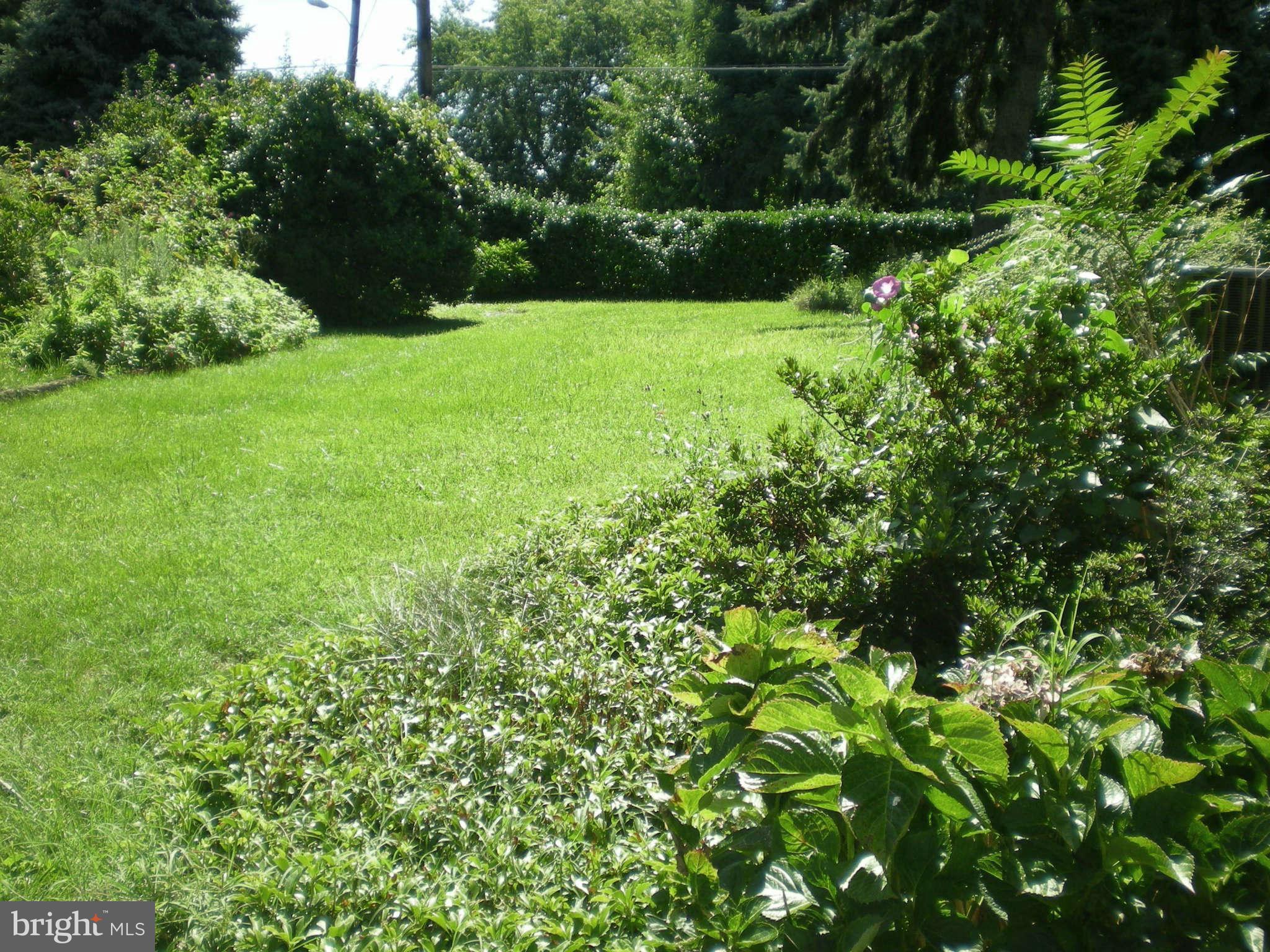 1206 Frederick Road Baltimore, MD 21228 - Photo 7 of 25 Lovely landscaped yard