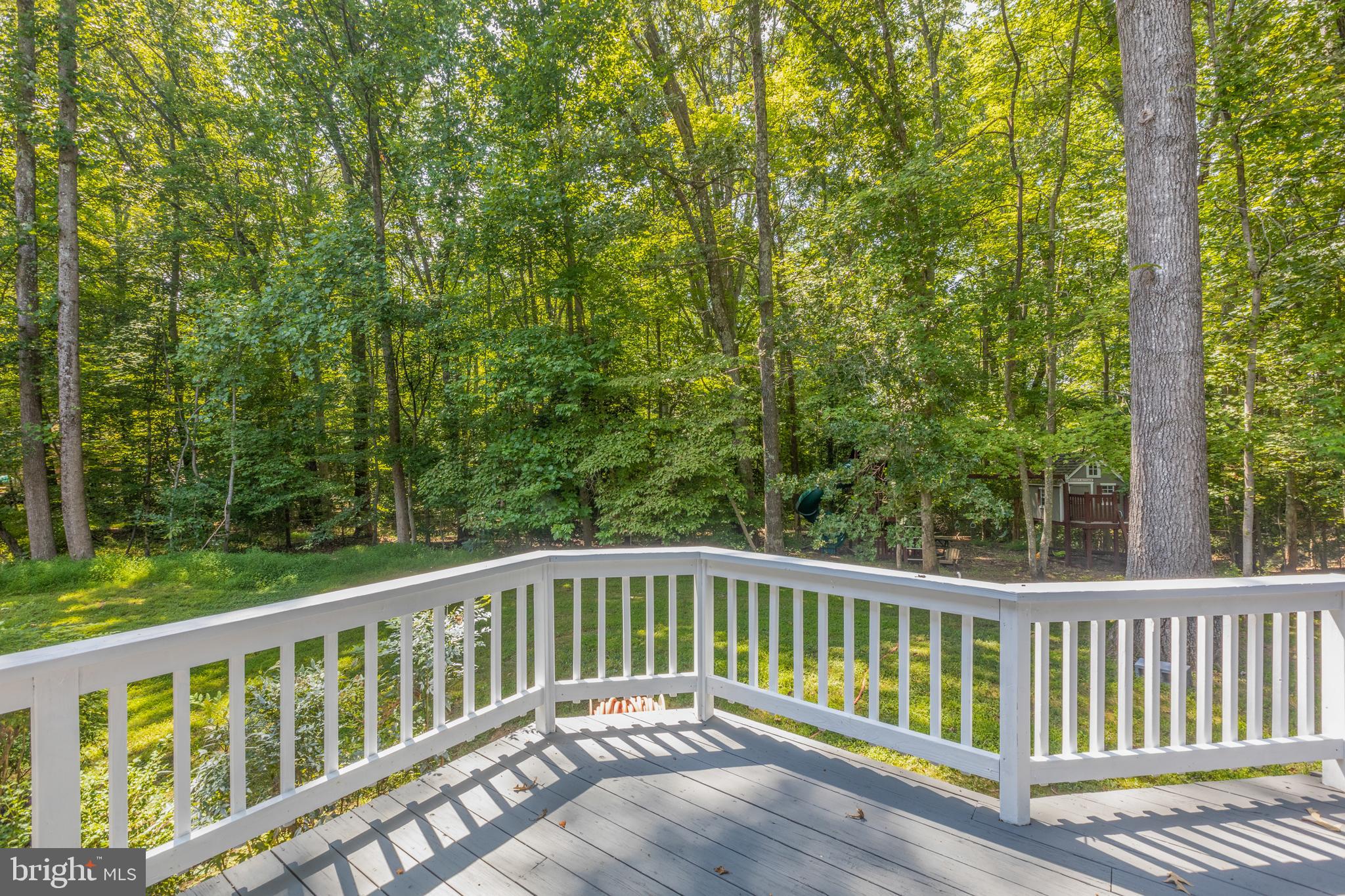 12219 Henderson Road Clifton, VA 20124 - Photo 12 of 94 Peaceful Paradise Yard!
