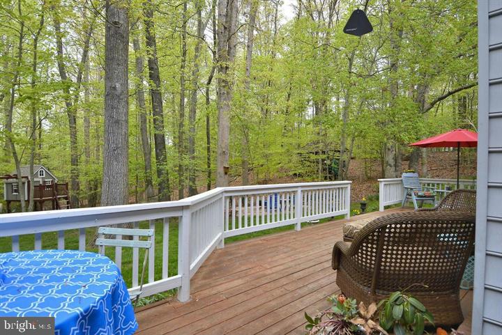 12219 Henderson Road Clifton, VA 20124 - Photo 15 of 94