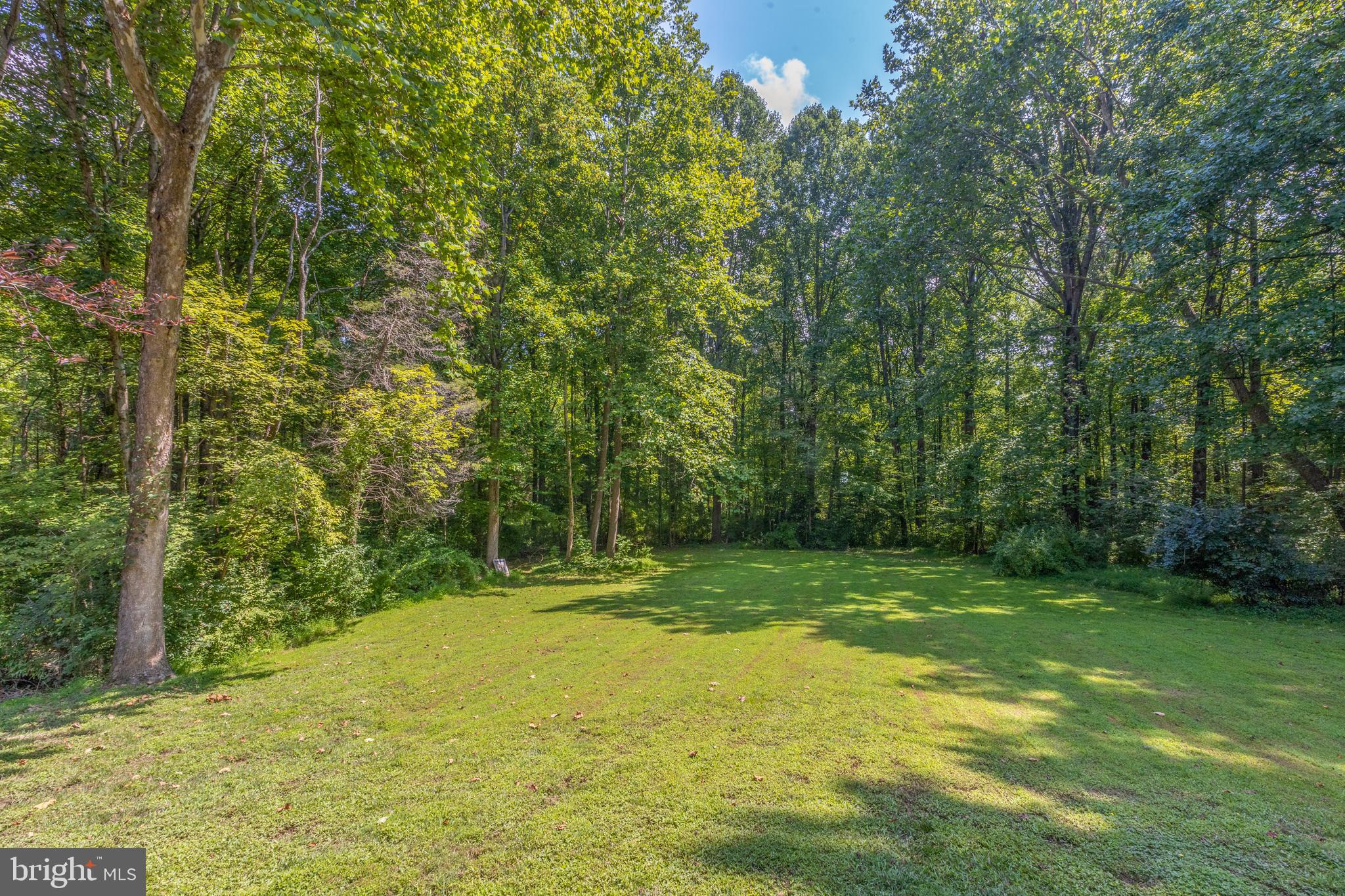 12219 Henderson Road Clifton, VA 20124 - Photo 19 of 94