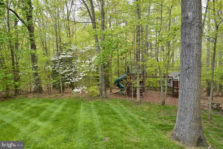 12219 Henderson Road Clifton, VA 20124 - Photo 4 of 94 5 Private , Peaceful Paradise Acres!!