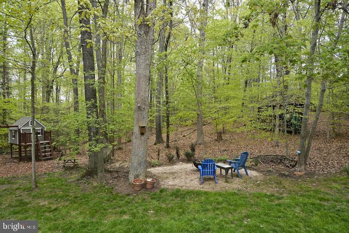 12219 Henderson Road Clifton, VA 20124 - Photo 5 of 94 Best Backyard - Private!!