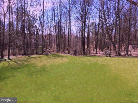 12219 Henderson Road Clifton, VA 20124 - Photo 7 of 94 BEST PRIVATE ACREAGE!!