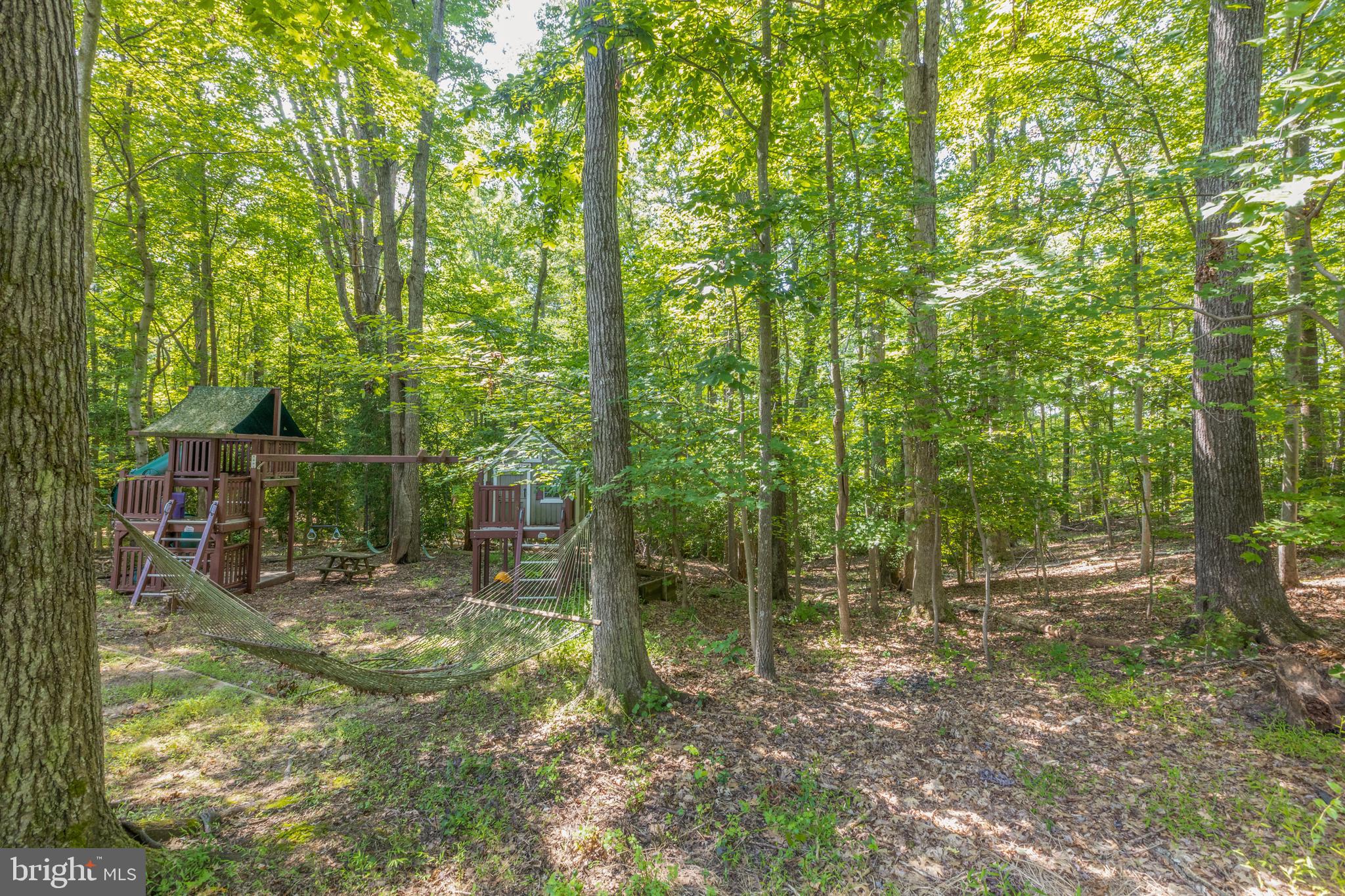 12219 Henderson Road Clifton, VA 20124 - Photo 82 of 94