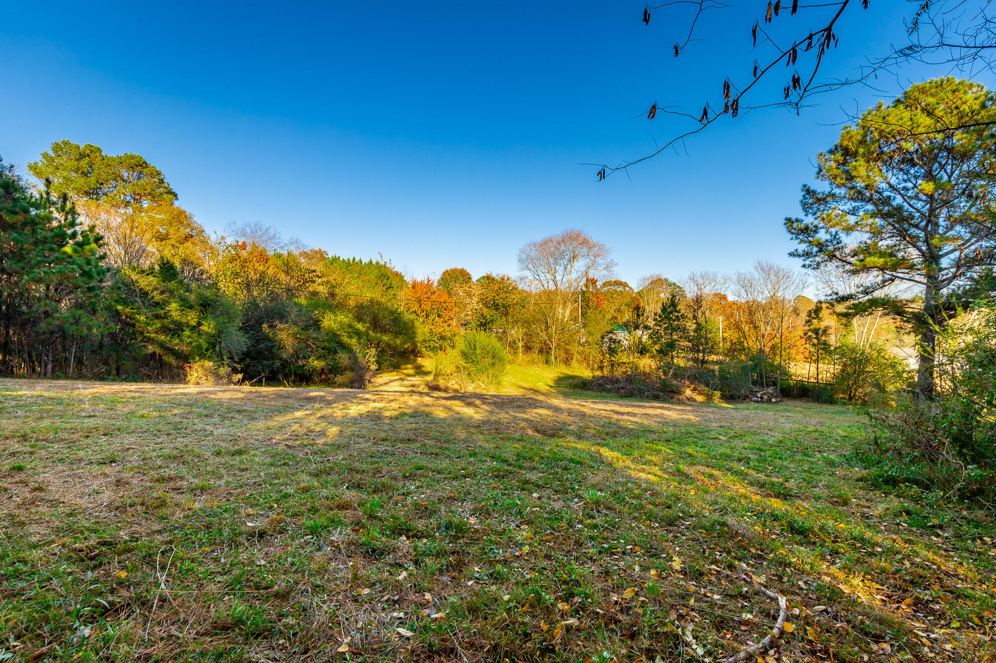 633 East Garden Farm Road Rossville, GA 30741 - Photo 8 of 37 633 East Garden Farm Road Lot HD-14