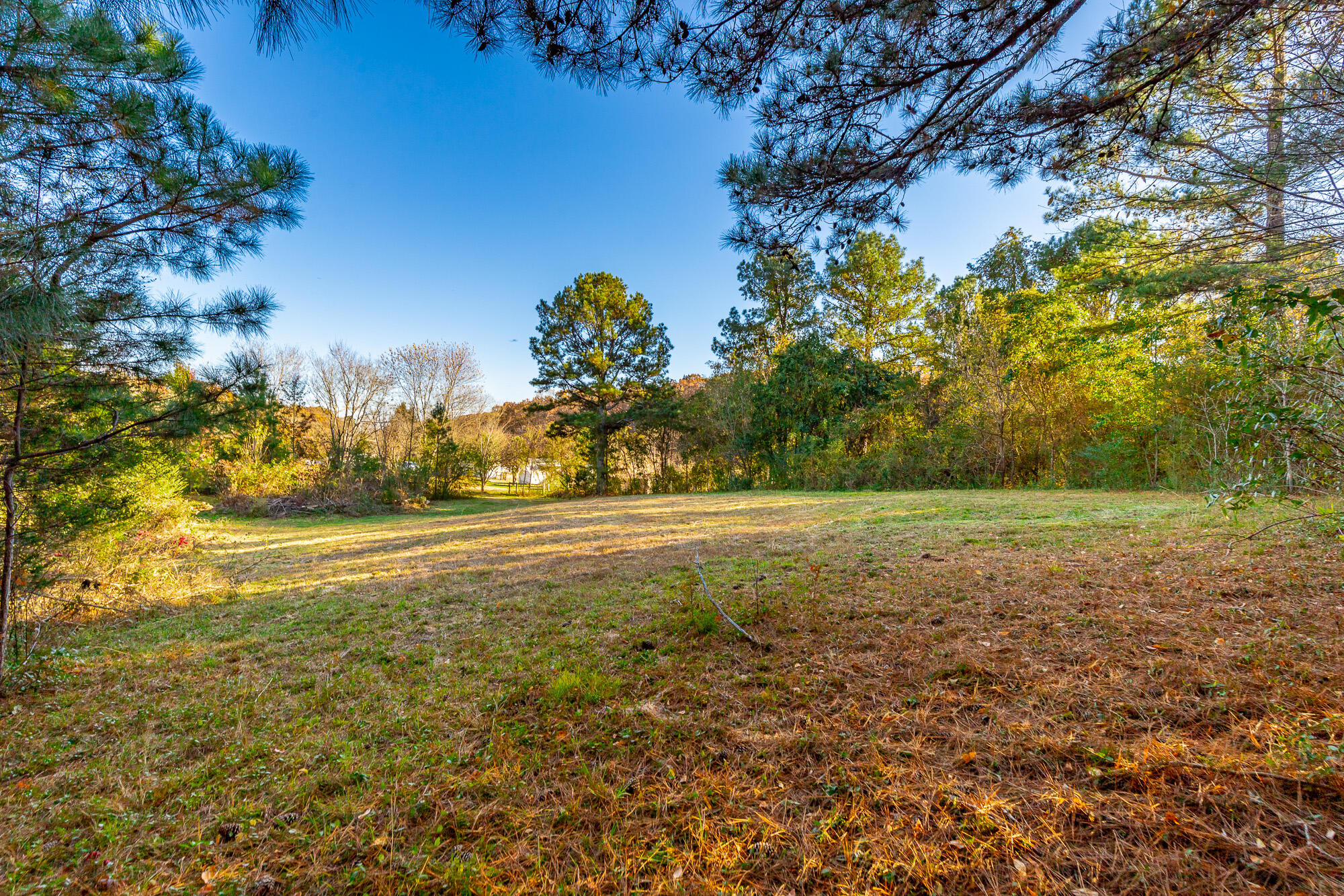 633 East Garden Farm Road Rossville, GA 30741 - Photo 9 of 37 633 East Garden Farm Road Lot HD-15