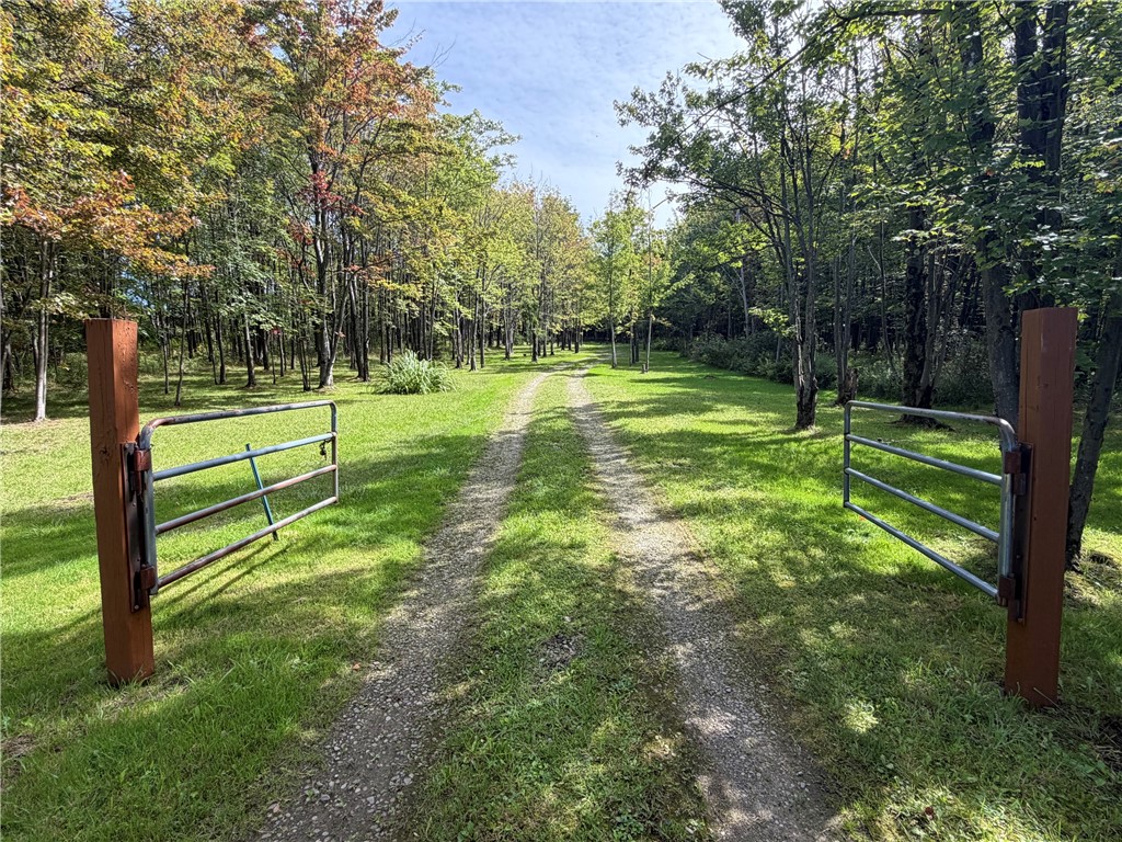 9419 South Hill Road Colden, NY 14033 - Photo 24 of 50 Gallery Image 24