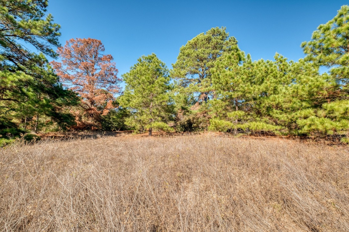 0 Dunbar Road McDade, TX 78650 - Photo 11 of 11 a view of a big yard with plants and trees