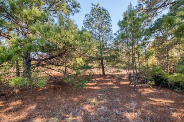 $275,000 | 0 Dunbar Road, McDade, TX 78650