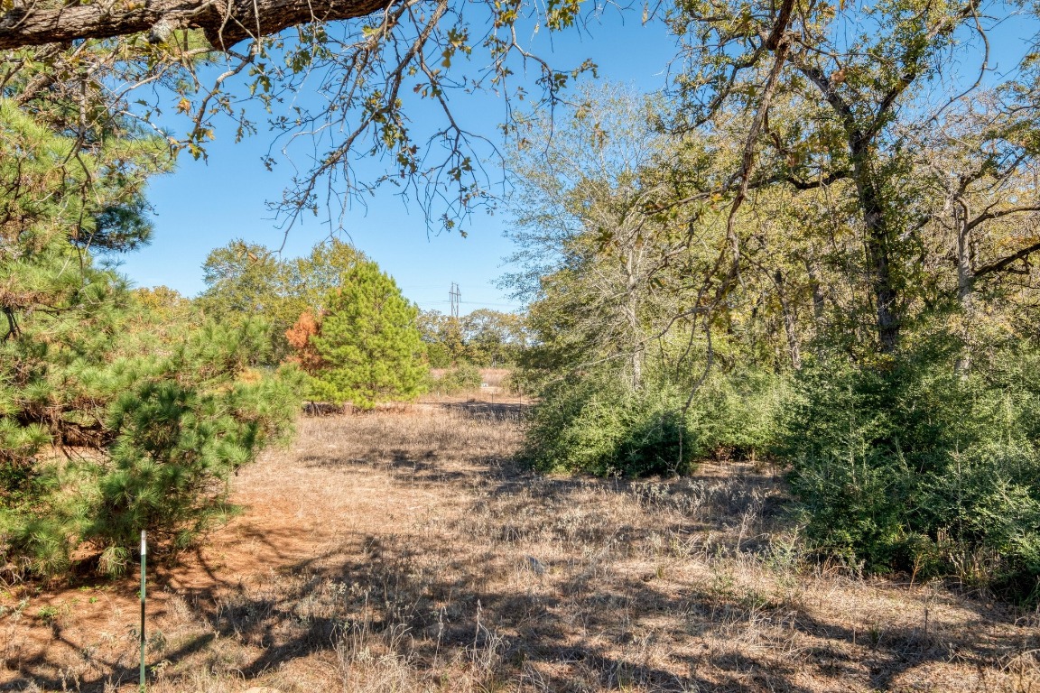 0 Dunbar Road McDade, TX 78650 - Photo 4 of 11 a view of a yard with plants and large trees