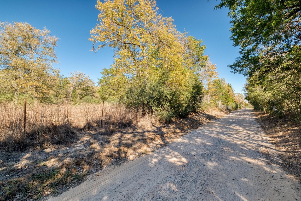 0 Dunbar Road McDade, TX 78650 - Photo 6 of 11 a view of a yard with trees