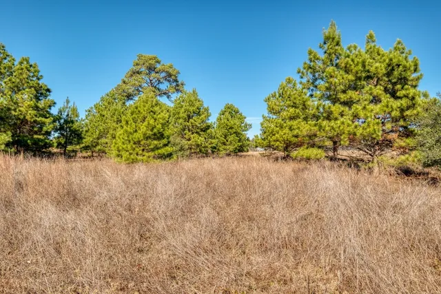 a view of a lake with a yard