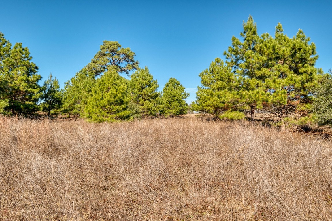 0 Dunbar Road McDade, TX 78650 - Photo 8 of 11 a view of a lake