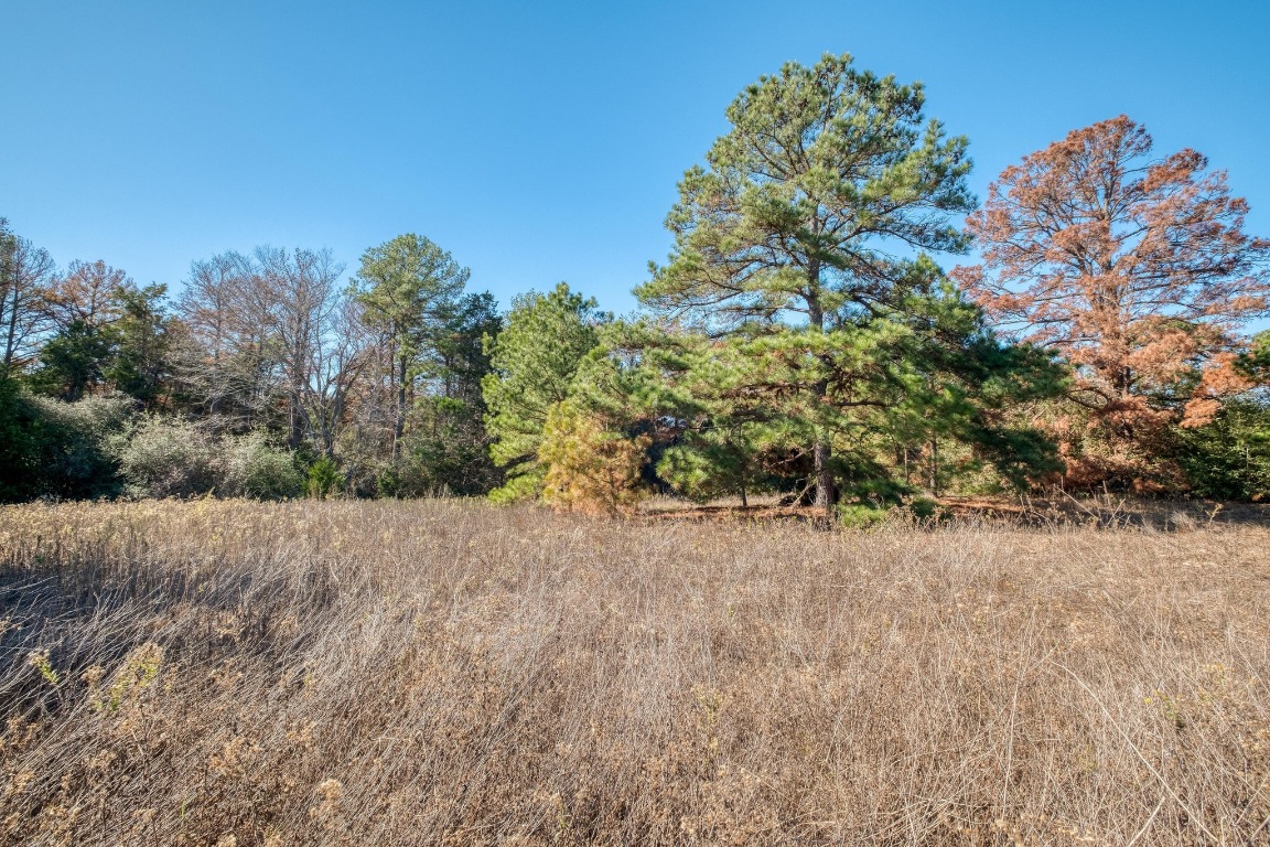 0 Dunbar Road McDade, TX 78650 - Photo 10 of 11 a view of a dry yard with trees in the background
