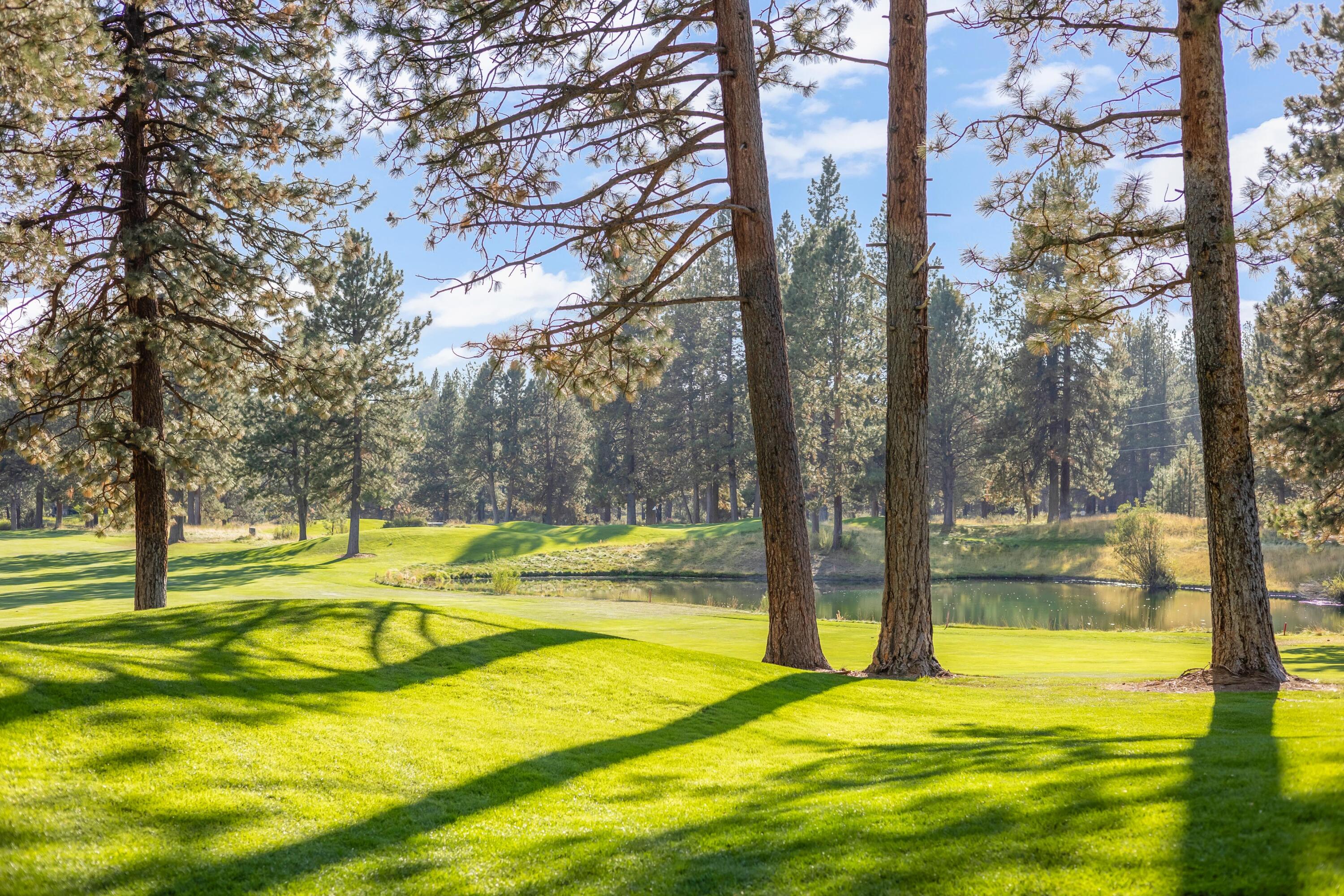 60755 Currant Way Bend, OR 97702 - Photo 43 of 52 Gallery Image 43