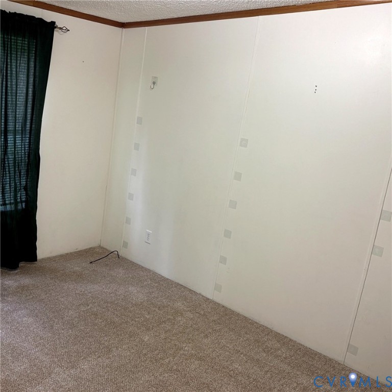 102 Frenchs Store Road Cumberland, VA 23040 - Photo 5 of 13 Neutral-toned wall panels with wood trim and textu