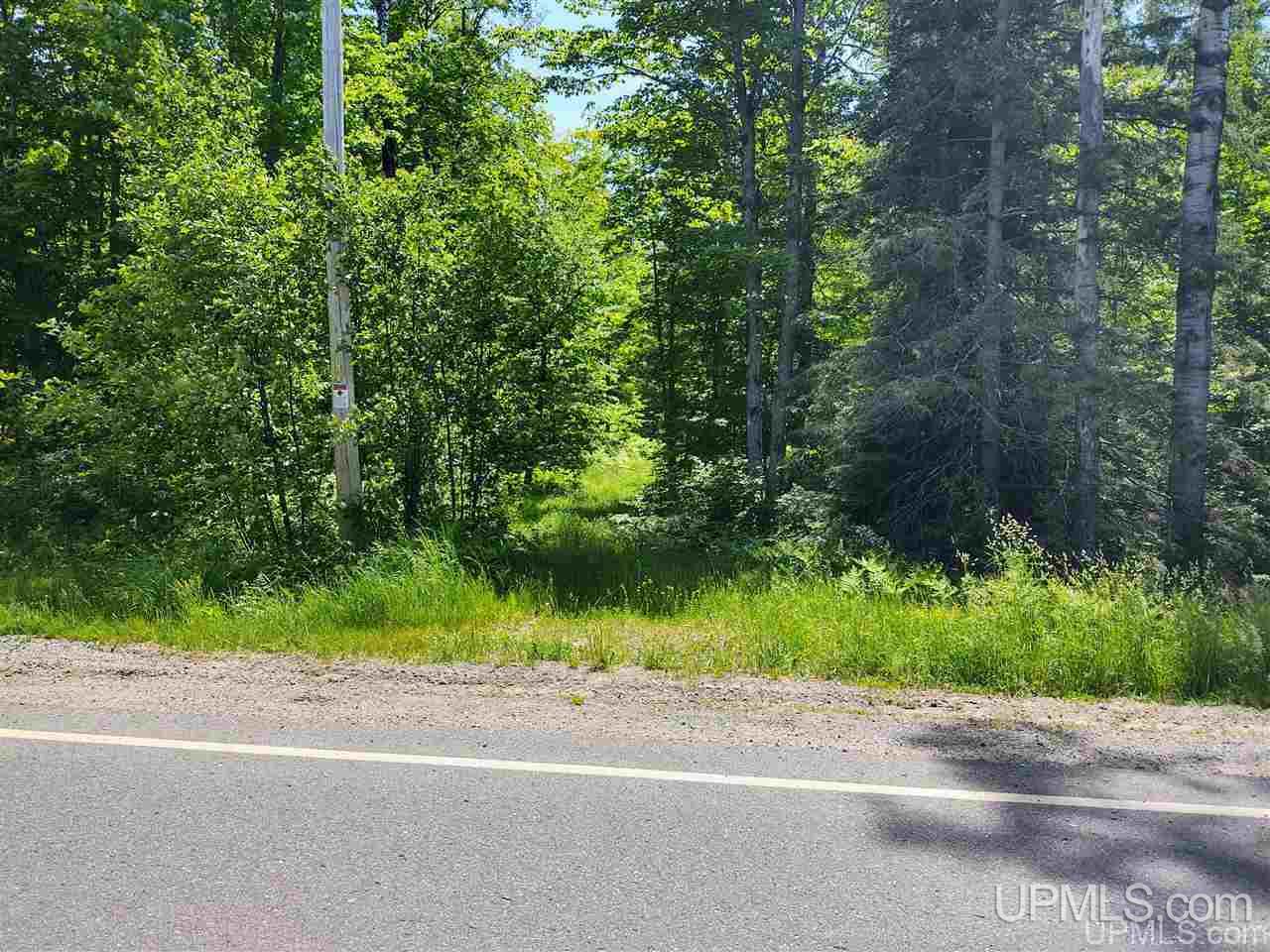 Tbd Tbd Indian Cemetery Road Lanse, MI 49946 - Photo 2 of 40