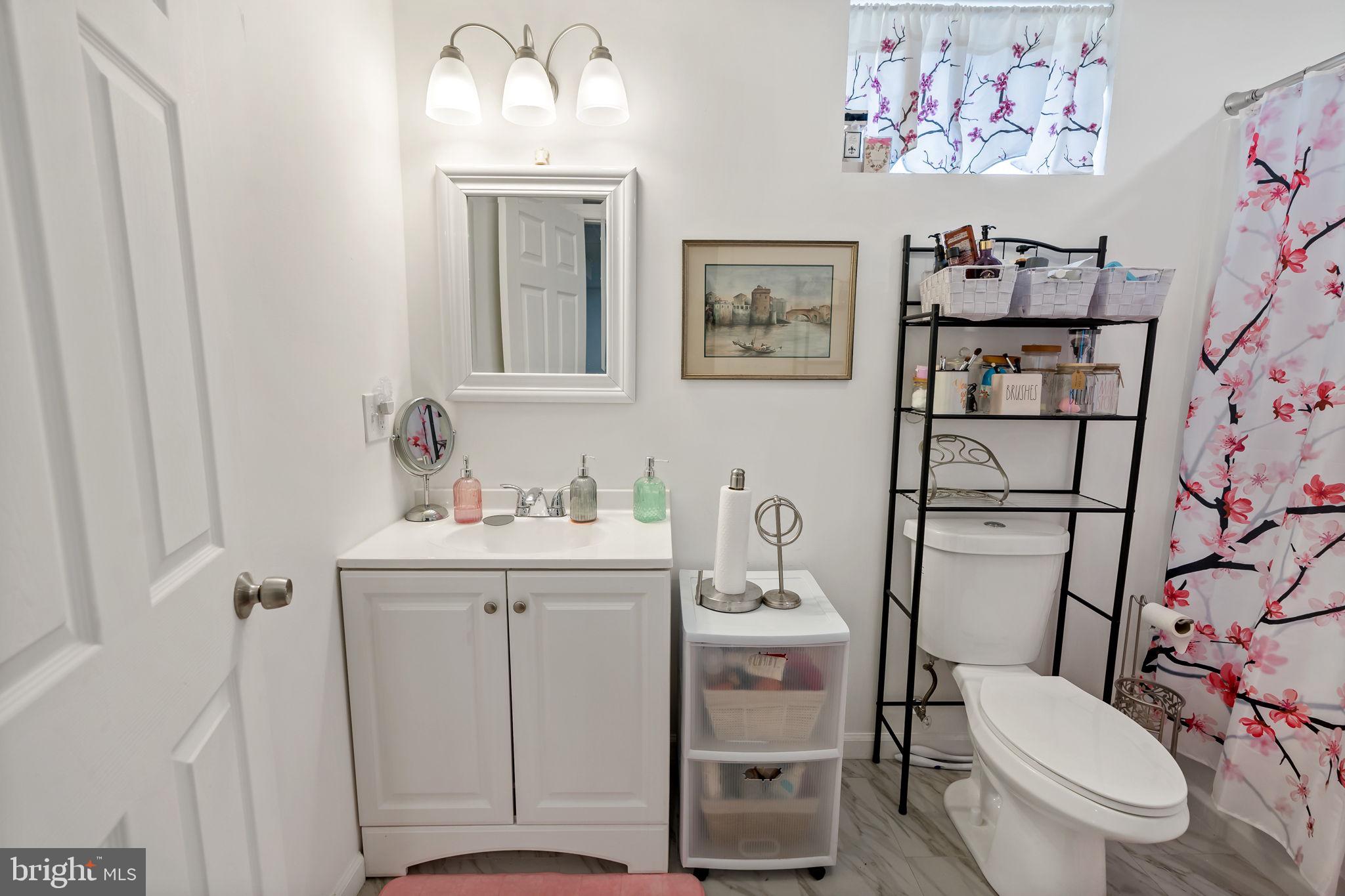 5632 Hines Road Frederick, MD 21704 - Photo 35 of 44 a bathroom with a toilet a sink and a mirror