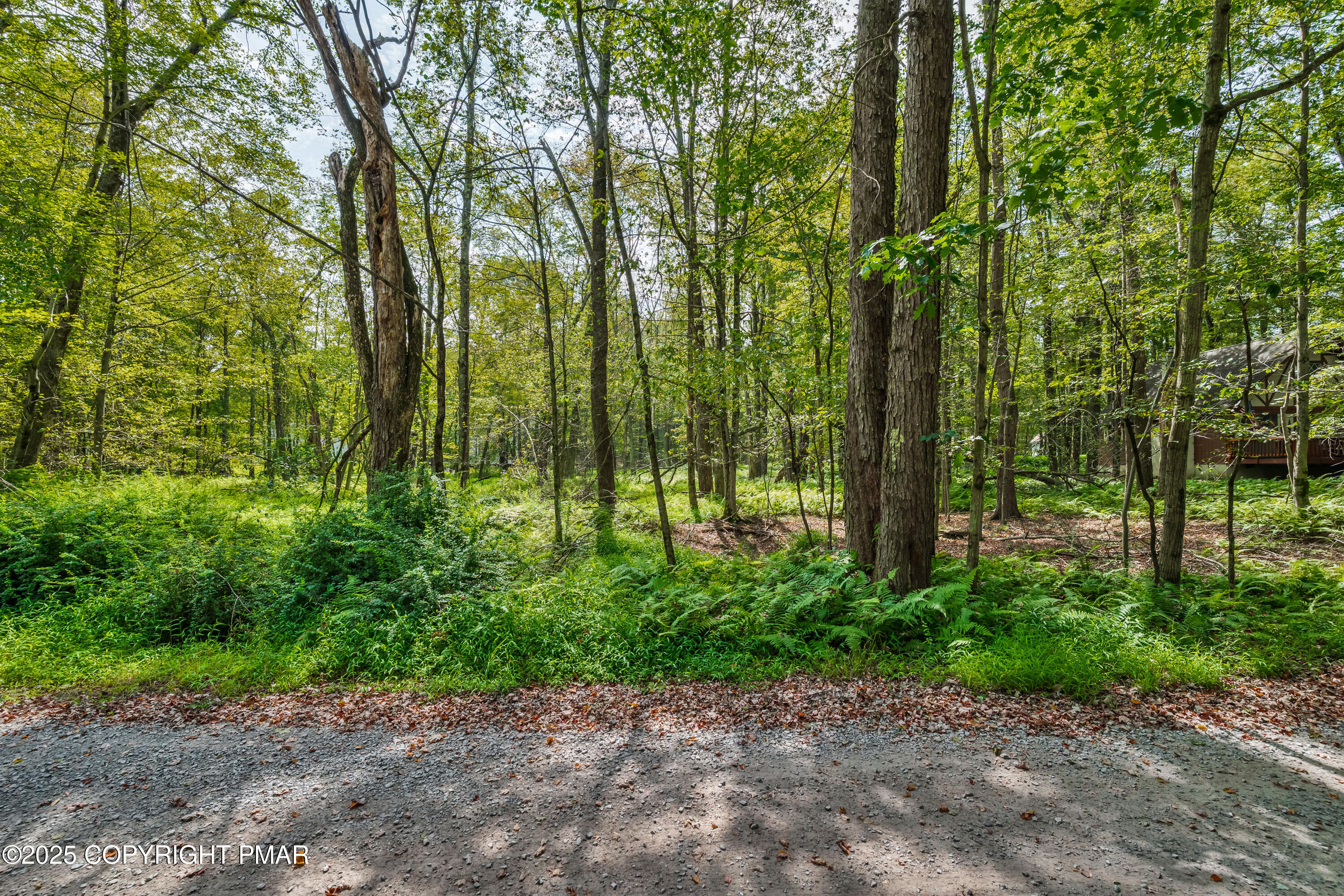 804 Evergreen Road Pocono Lake, PA 18347 - Photo 3 of 19 a view of a garden with plants