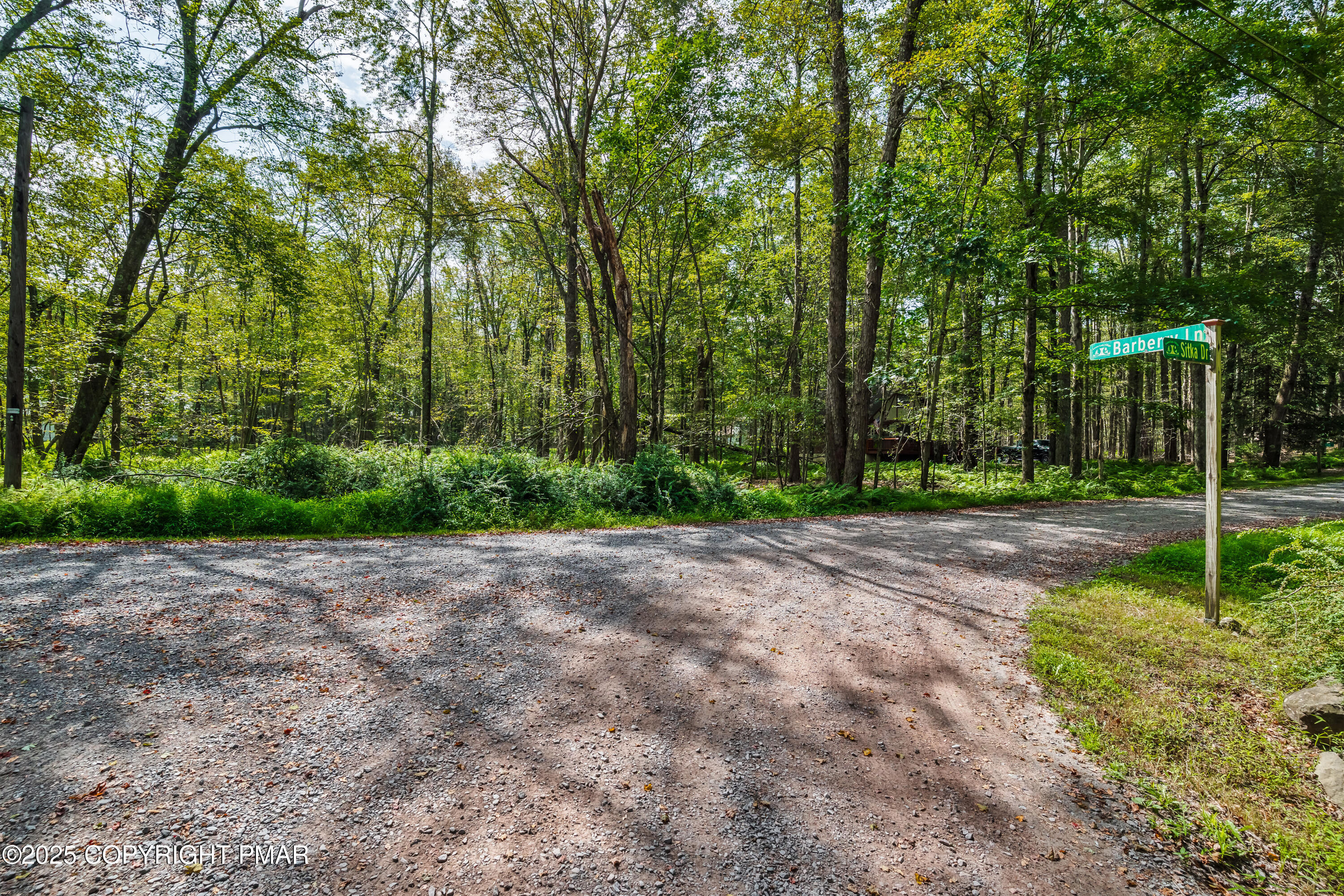 804 Evergreen Road Pocono Lake, PA 18347 - Photo 4 of 19 a view of a park with large trees