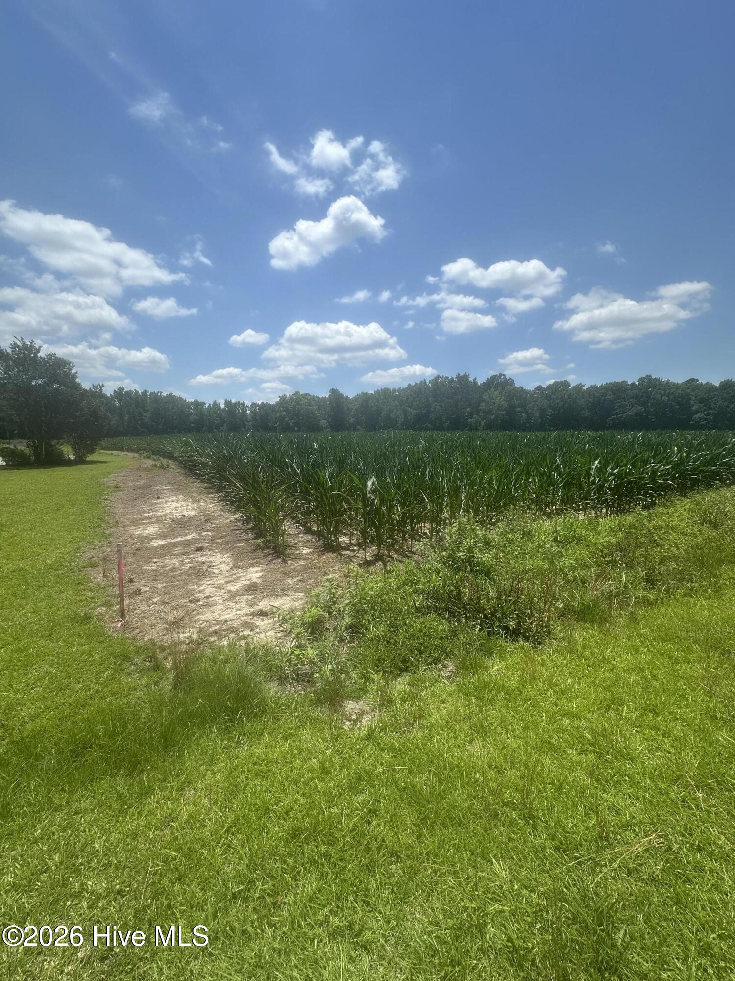 721 Joe Piver Road Chadbourn, NC 28431 - Photo 12 of 18