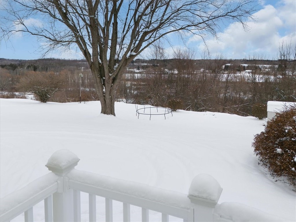 4350 Williamson Road Marion, NY 14505 - Photo 23 of 46 Back deck view