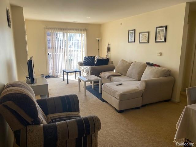 1125 Eureka Road, Unit 202 Wyandotte, MI 48192 - Photo 3 of 10
