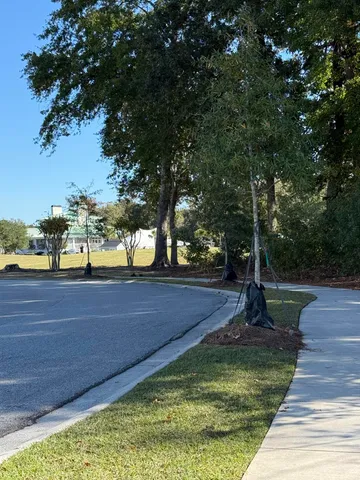 $2,595 | 9423 Sun Fountain Drive, Summerville, SC 29485