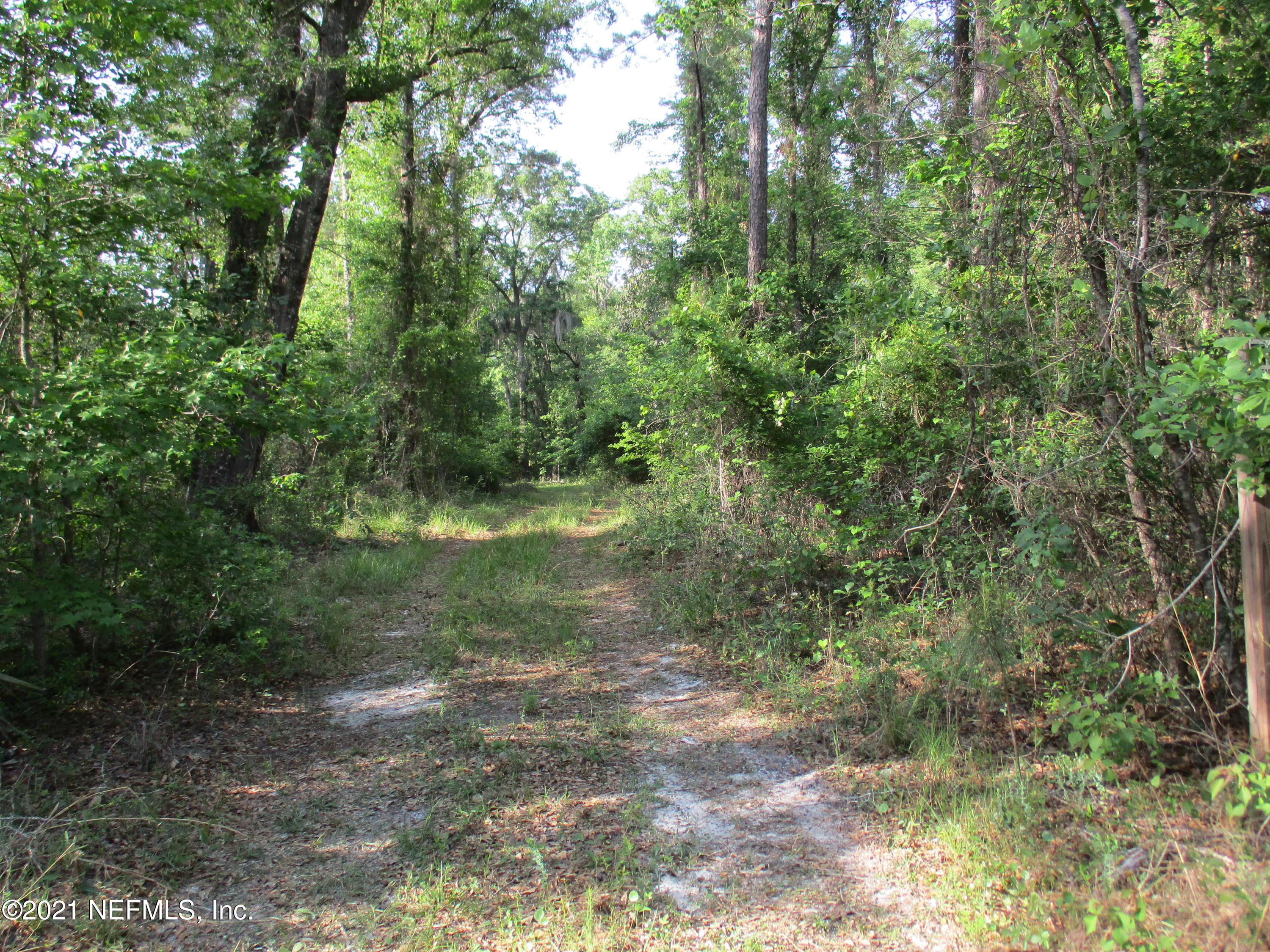 0 Tracy Road Hilliard, FL 32046 - Photo 1 of 6 IMG_1204
