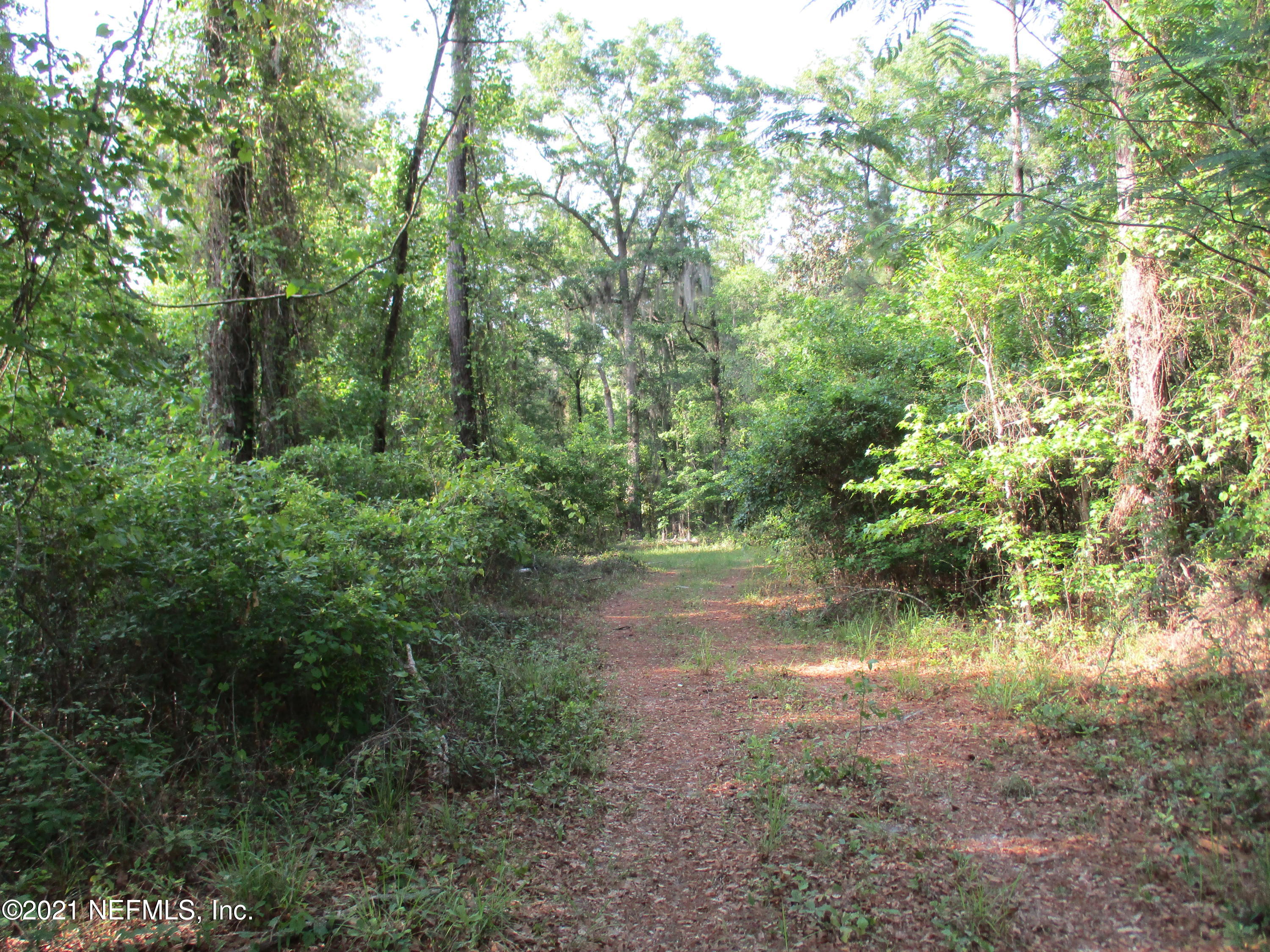 0 Tracy Road Hilliard, FL 32046 - Photo 3 of 6 IMG_1206