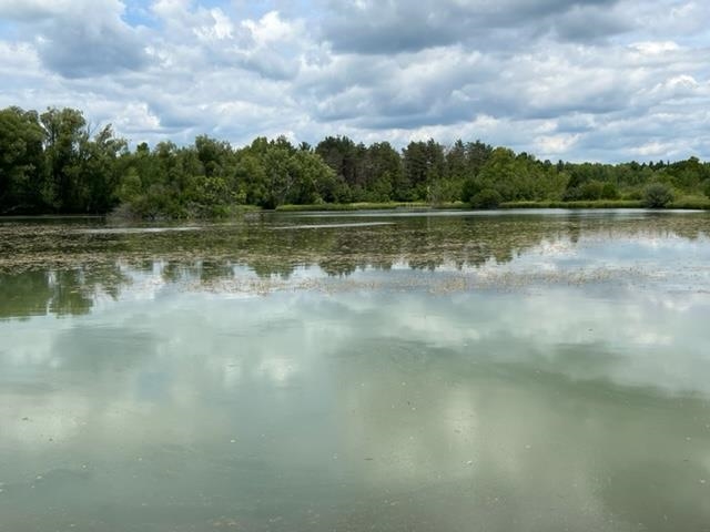 6538 North 39 Road Manton, MI 49663 - Photo 47 of 65 1902339-55.JPG