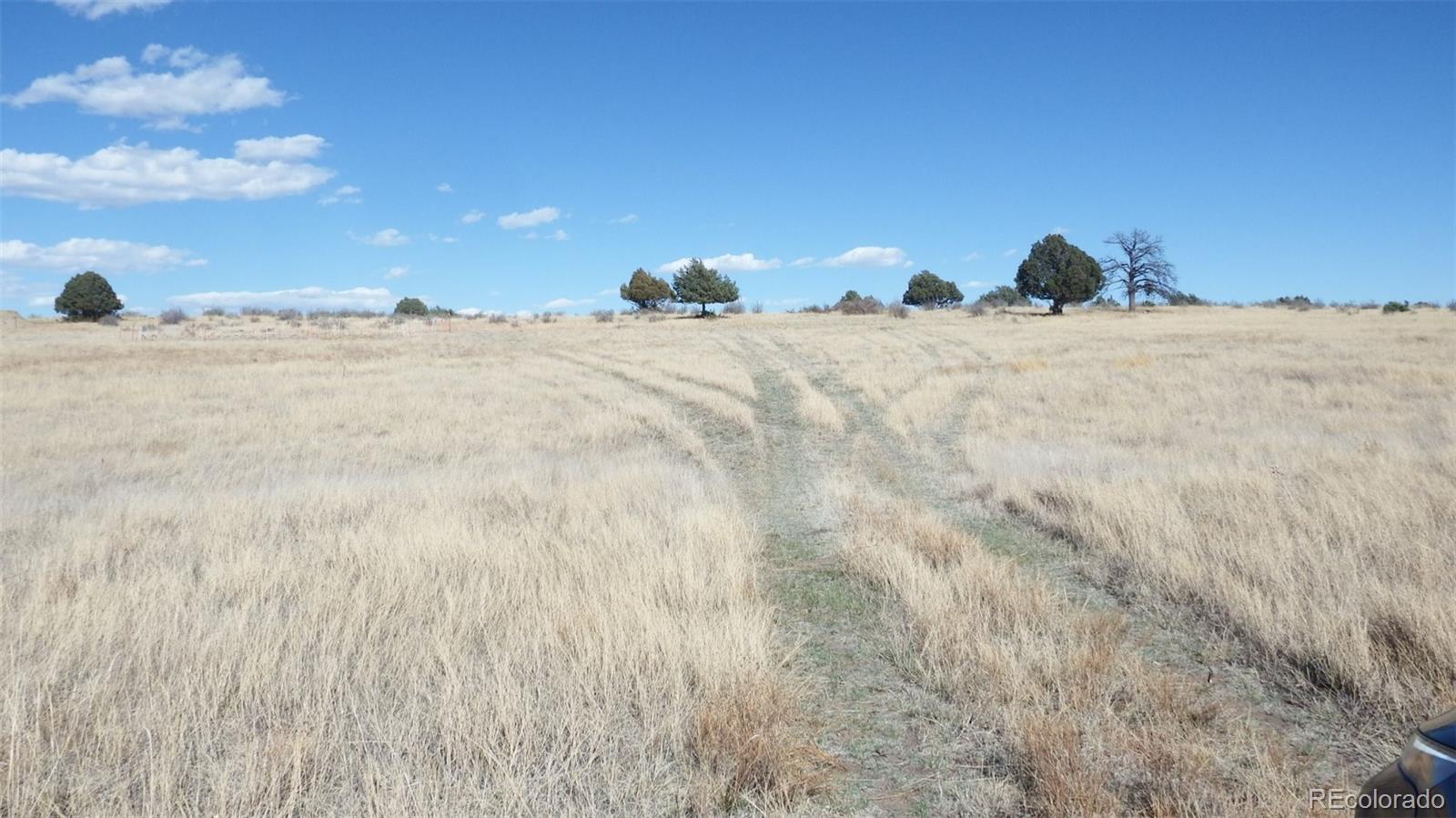 35584 Comanche Creek Road Kiowa, CO 80117 - Photo 2 of 15 a view of a large tree in the middle of a field