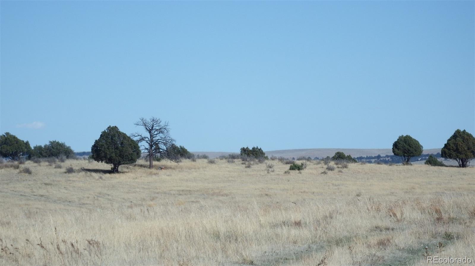 35584 Comanche Creek Road Kiowa, CO 80117 - Photo 3 of 15 a view of a dry yard with a snow on the road