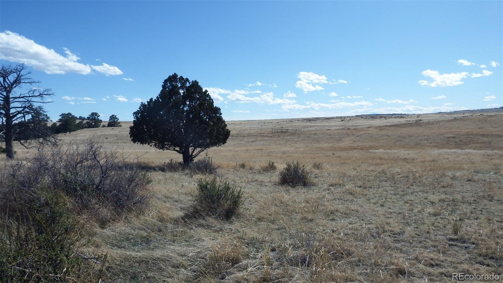 35584 Comanche Creek Road Kiowa, CO 80117 - Photo 4 of 15 a view of a dry yard