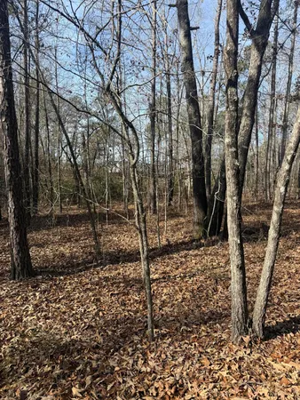 $195,000 | 5861 Luckeys Bridge Road, Dearing, GA 30808