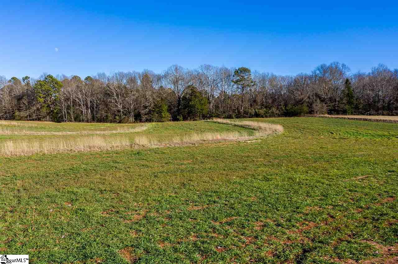 0 Black Road Easley, SC 29642 - Photo 5 of 32
