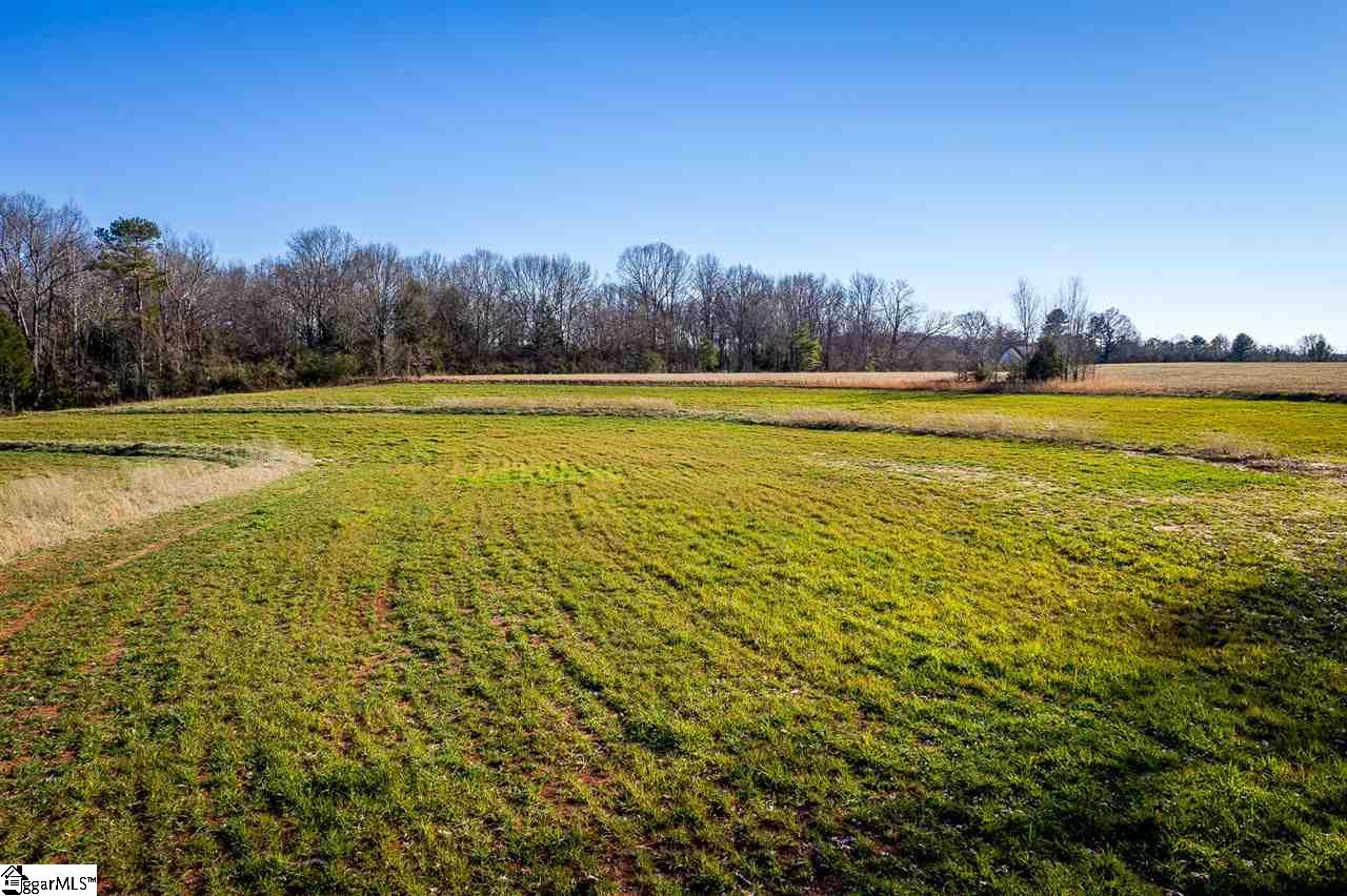 0 Black Road Easley, SC 29642 - Photo 6 of 32