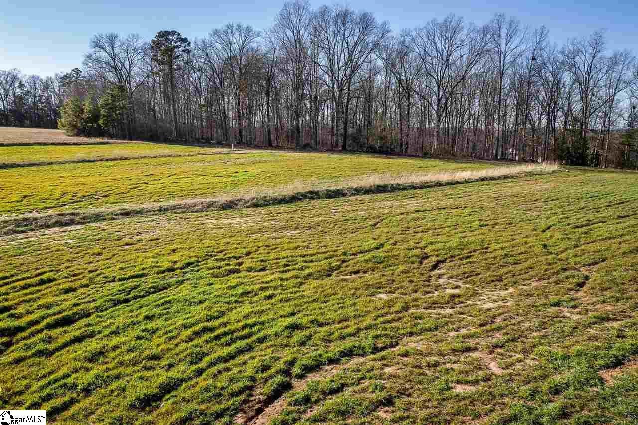 0 Black Road Easley, SC 29642 - Photo 7 of 32