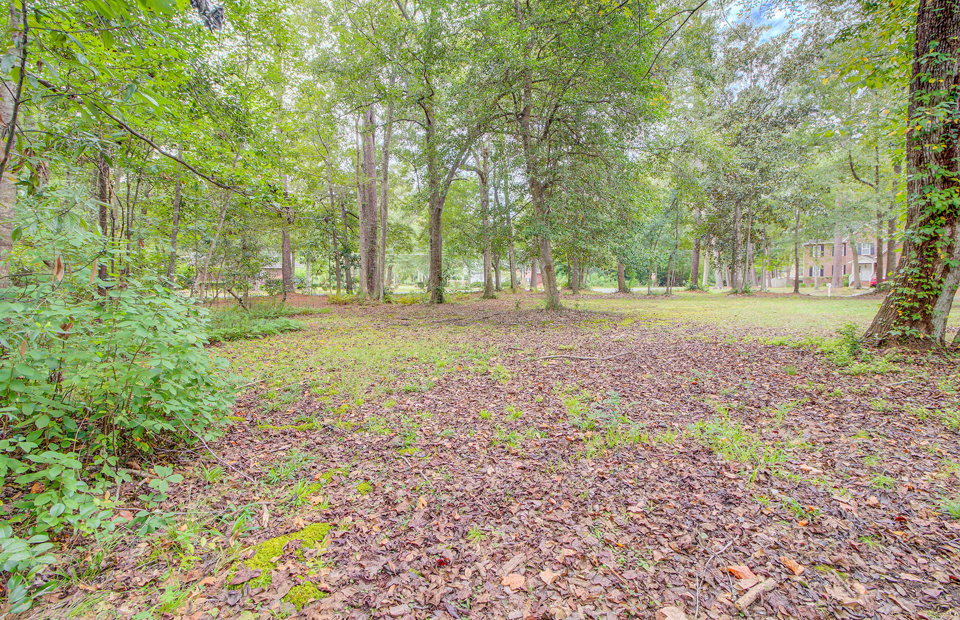 205 County Rd S-18-458 Summerville, SC 29485 - Photo 9 of 45 25