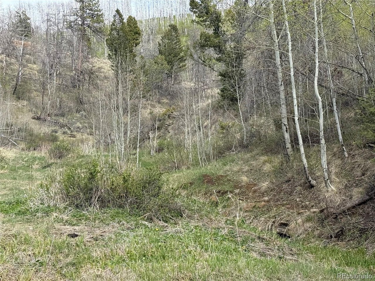406 Schierl Road Fort Garland, CO 81133 - Photo 47 of 50