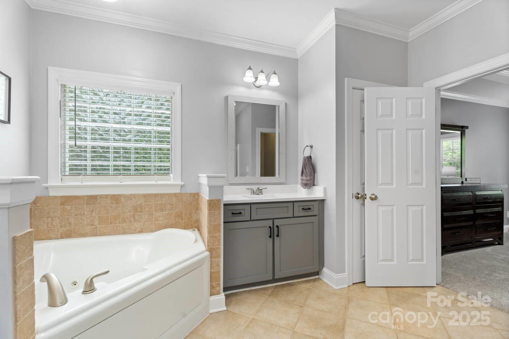 153 Canyon Road Mocksville, NC 27028 - Photo 27 of 46 a bathroom with a tub a sink and a large mirror