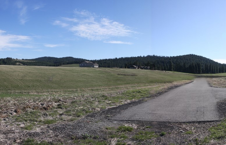 3 Lunneborg Ranch Estates Lane Spokane, WA 99217 - Photo 3 of 5