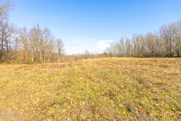 a view of lake with green space