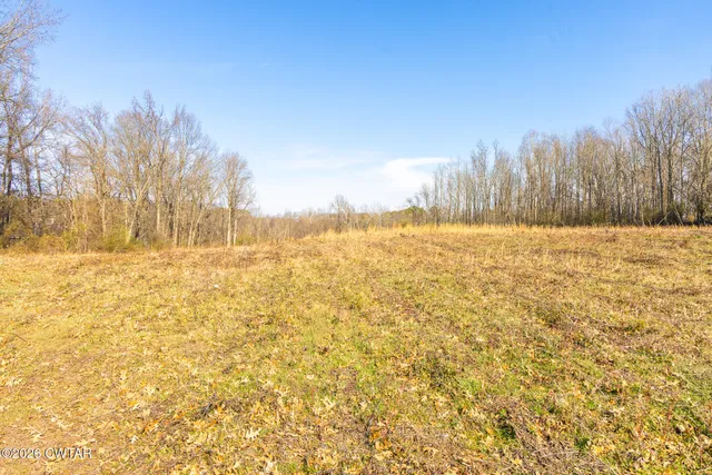 a view of lake with green space